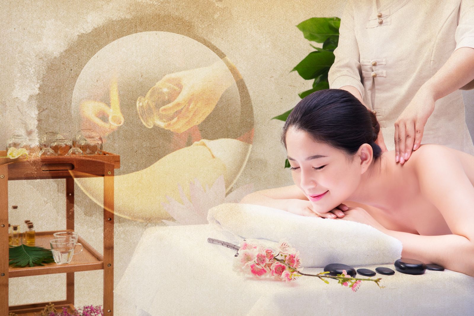 Thái Y Viện